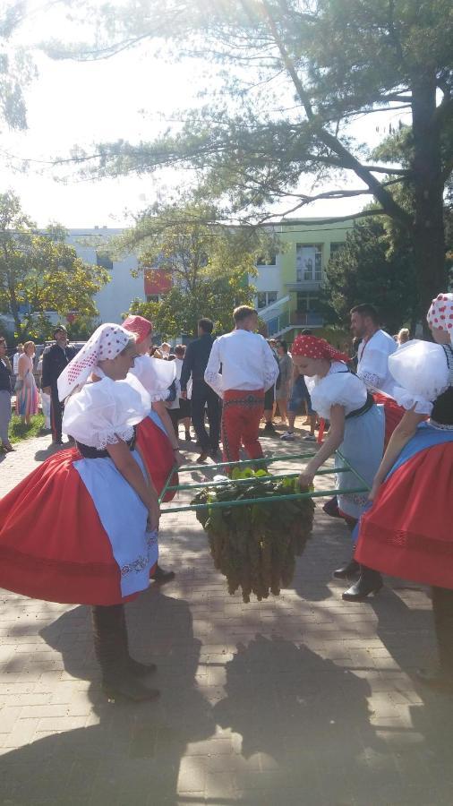 Za Vodou Affittacamere Moravská Nová Ves Esterno foto